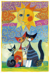 Dubbelt vykort - Sol och fyra katter