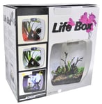 Lucky Reptile Life Box Terrarium Design