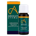 Absolute Aromas Huile Essentielle de Géranium Égyptien 10 ml - 100% Pure, Naturelle, Non Diluée, Vegane et Sans Cruauté - Pour une utilisation dans les Diffuseurs et les Mélanges d'Aromathérapie