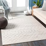 Livabliss Santiago Tapis Géométrique Scandinave - Tapis Salon, Salle à Manger, Chambre, Cuisine - Tapis Design Boheme Chic, Berbere Moderne, Tapis Poil Court 120x170cm - Blanc Cassé et Gris Clair