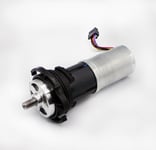 Robomow RK Drivmotor 622-00617