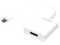 Adaptateur USB 3.0 DisplayPort femelle USB C prise male 140mm - Blanc