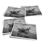 4x Rectangle Stickers - BW - Black Backed Jackal Puppies #35139