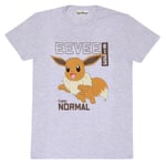 Pokemon Unisex Vuxen Eevee T-Shirt XXL Heather Grey Heather Grey XXL