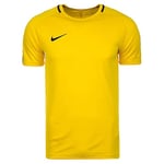 Nike M Nk Dry ACDMY18 Top Ss T-Shirt - Tour Yellow/Anthracite/(Black), Small