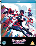 SpiderMan: Across The SpiderVerse