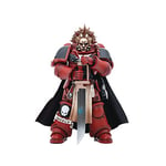 BLOOMAGE JOYTOY (BEIJING) TECH Warhammer 40k Figurine 1/18 Blood Angels Veteran Alberigo 12 cm