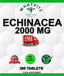 ECHINACEA 2000 MG 365 TABLETS Purpurea Extract Cold and Flu Immune System