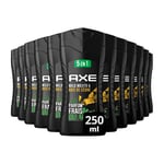 AXE - Gel Douche Homme 5en1 Wild - 24h Hydratant - 87% d'Ingrédients d'origine naturelle - parfum mojito & bois de cèdres (lot de 12x 250ml)