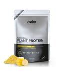 Radix Natural Plant Protein Powder 1kg Banana