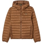 Blouson Lacoste  Doudoune a capuche homme  Ref 64570 SIX Marron