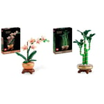 LEGO Botanicals Mini orchidée + Plante Artificielle en Bambou Porte-Bonheur pour présentation intérieure, Cadeau de décoration pour Femme et Homme, Elle ou Lui 10343 + 10344