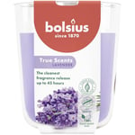 Bolsius True Scents - Lavande - Violet - Lot de 6 Bougies Parfumées - 9,7 x 8,5 cm - Durée de combustion: 45 heures - Avec extraits naturels - Cire végétale naturelle - Sans huile de palme