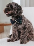 Chelsea Peers 12 Dogs of Christmas Dog Bow Tie, Navy