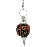 Rudraksha Pendulum Silvercolored -- 10 G; 4.5 Cm