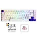 Akko 3068B Plus Clavier de Jeu mécanique RVB, Disposition ISO-DE/Nordique, 3 Modes (BT5.0/2,4 GHz/Type C), Mini Clavier Compact avec échange à Chaud, Touches Cherry PBT, programmable (Rose Jelly)