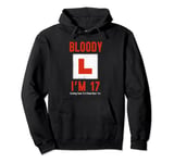 Learner Driver 17th Birthday Im 17 Today Driving Lessons Pullover Hoodie