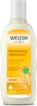 WELEDA - Shampooing Regénérant À L'Avoine, Lisse Et Fortifie Les Cheveux, 190 Ml