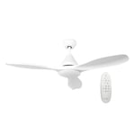 Ventilateur de plafond blanc Ø117cm avec bloc lampes LED