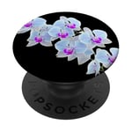 Magnifique orchidée Phalaenopsis bleu clair Formes noires Mania PopSockets PopGrip Adhésif