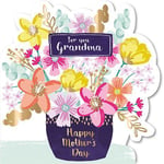 Mother's Day Card - Grandma - Flowers - 3D Talking Pictures