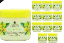 Cyclax Night Cream Nature Pure Oil Of Evening Primrose 300ml x 12
