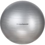 Endurance Gym Ball 65 cm