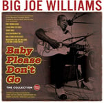 Big Joe Williams  Baby Please Don&#039;t Go: The Collection 193562  CD