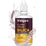 Silicium Supplement, Wellgard True Silica – Stabilised Silicon with Choline and Ortho Silicic Acid (OSA), Vegan Liquid Supplement for Skin, Hair, and Nails, 60ml