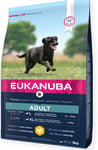 Eukanuba Dog Adult Large (3kg)