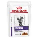 Royal Canin Expert Feline Neutered Maintenance i sås  - Ekonomipack: 48 x 85 g