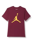 Nike Jumpman Cherrywood Red/Taxi L