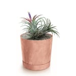 Botle Pot De Fleur Rond Terre Cuite Marron Plastique Beton Effect Cache Pot 17,5 Cm Decoratif Bac A Plantes Avec Soucoupe Fleurs