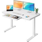 ErGear Bureau Assis Debout Électrique, Bureau Réglable en Hauteur 120 x 60 cm, Bureau avec Rangement avec Tiroir et 2 Ports de Charge, Bureau Blanc Debout avec 3 Mémoires pour Bureau à Domicile