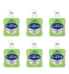 6 X CAREX ALOE VERA ANTI-BAC HAND WASH LIQUID SOAP 250ML