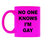 LBS4ALL Fluorescent Pink No one Know I'm Gay Gift Birthday Christmas Queen Mug 11oz Ceramic