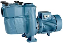 Pompe de piscine préfiltre circulation Calpeda NMPM 50/12GE auto-amorçante 1,5kW