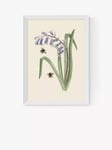 EAST END PRINTS Natural History Museum 'Bee & Hyacinth' Framed Print