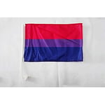 Drapeau de voiture Bisexuel 45x30cm - Carflag bisexuel - Arc en Ciel - Rainbow 30 x 45 cm - AZ FLAG