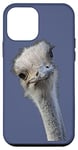 Coque pour iPhone 12 mini Visage d'autruche avec expression sans gorme