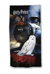 BrandMac Harry Potter Poudlard Express Serviette de Bain en Coton Motif Chouette 70 x 140 cm