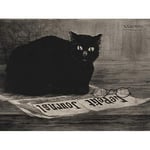 Guerard Black Cat Newspaper Journal Advert Large Wall Art Poster Print Thick Paper 18X24 Inch