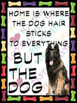 Belgian Sheep Dog Fridge Magnet 100mm x 75mm "HOME IS WHERE THE DOG HAIR STICKS TO EVERYTHING BUT THE DOG" Novelty Gift