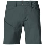 Bergans of Norway Rabot Light Softshell Shorts Herre