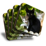 Set of 4 Square Coasters - Cute Kittens Black Tabby Ginger Cat  #24573