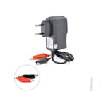 NX - Chargeur plomb NX 12V/0.2A 110-230V - pinces crocodiles (Intelligent)