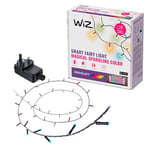 WiZ RGBIC Smart LED Fairy Light with Music Sync, 160 LEDs, 16 Million Colours, 8 Light Zones, Connects to WiFi, Voice/app Control, Works with Google Home, Alexa, LED Lights for Bedroom, Living Room