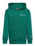 Champion Hooded Sweatshirt Grön