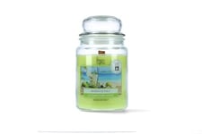 Magic Lights - Bougie Jara 510 gr Mojito avec cire végétale min. 75% - mèche en bois naturel qui éclate, fabriquée en Italie