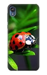 Innovedesire Ladybug Case Cover For Motorola Moto E6, Moto E (6th Gen)